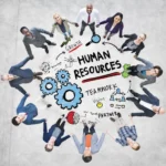 Identifying Quality PEOs with Clear Roles, Strong Client Support, and Measurable Benchmarks